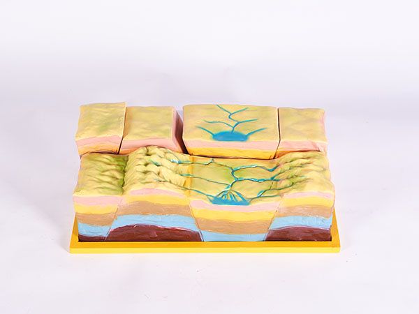 地層結構斷裂模型