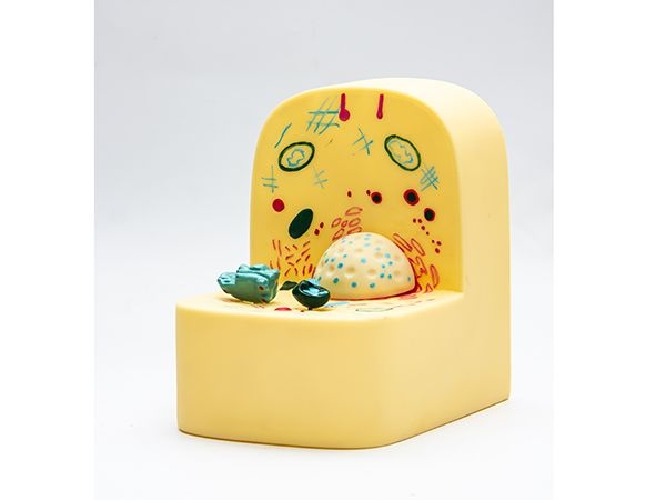 細(xì)胞亞顯微結(jié)構(gòu)模型