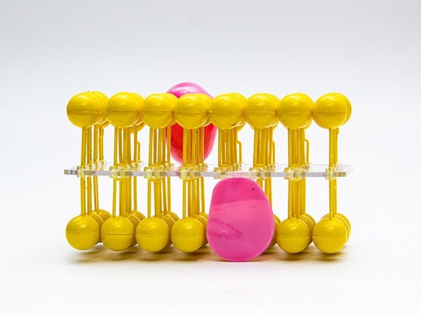 細(xì)胞膜流動鑲嵌模型組件