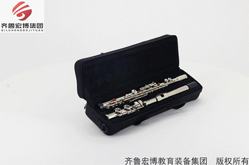 長(zhǎng)笛